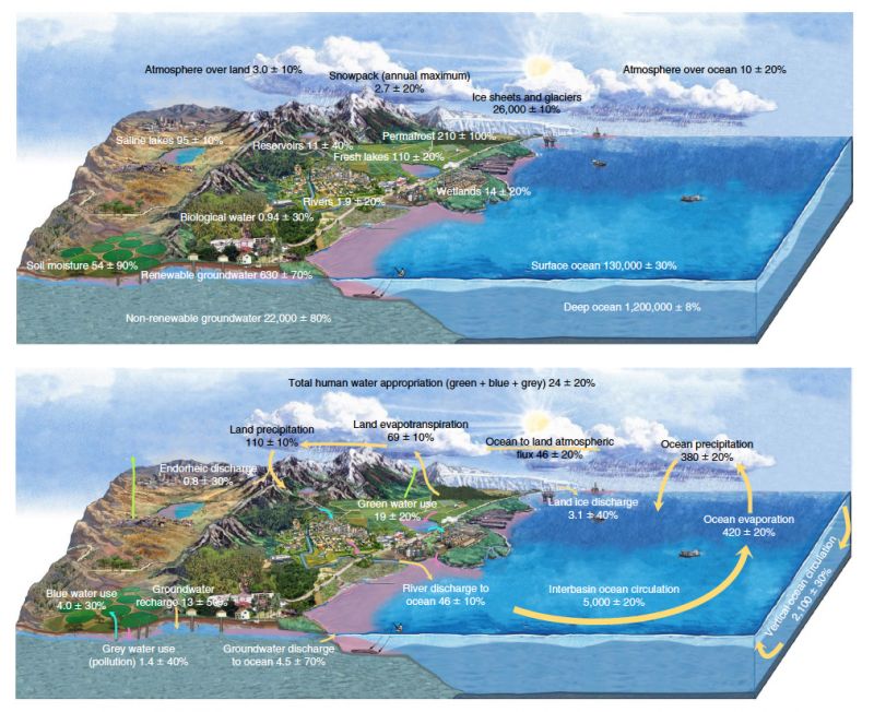 WaterCycle.jpg
