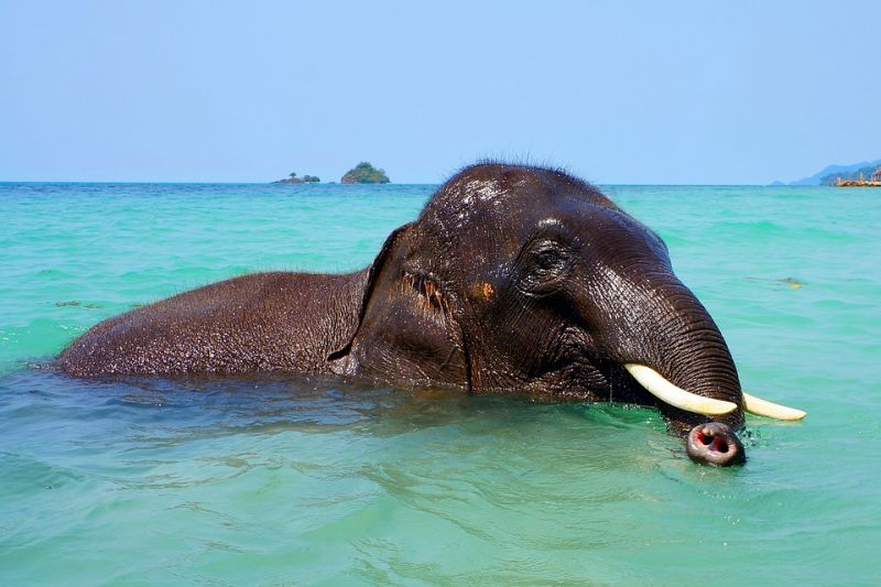 indian ocean.jpg