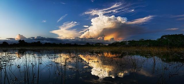 Florida Congress Members Criticize State Water Toxin Plan