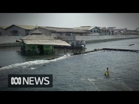 Jakarta is Polluted, Sinking and Overcrowded, so Indonesia is Planning a New Capital City (Video)