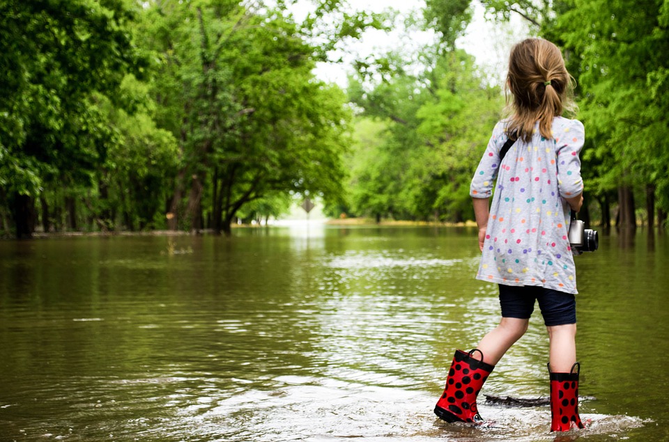 "We Are In a Water Crisis" - WMO and GWP Strengthen Climate-resilient Water Management