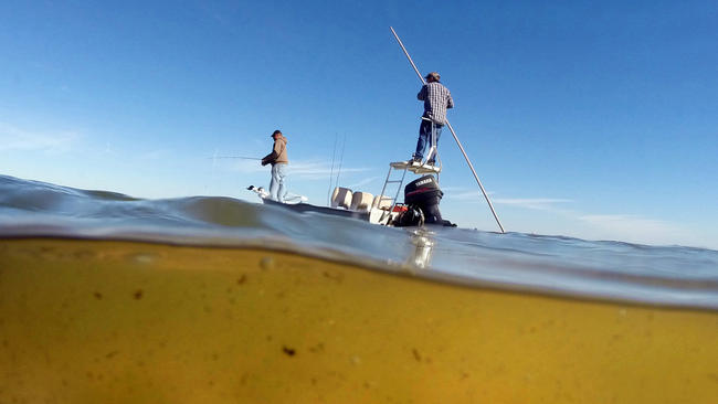 Florida coastal environments are collapsing