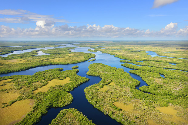 Is Florida Moving Too Slow to Save the Everglades?