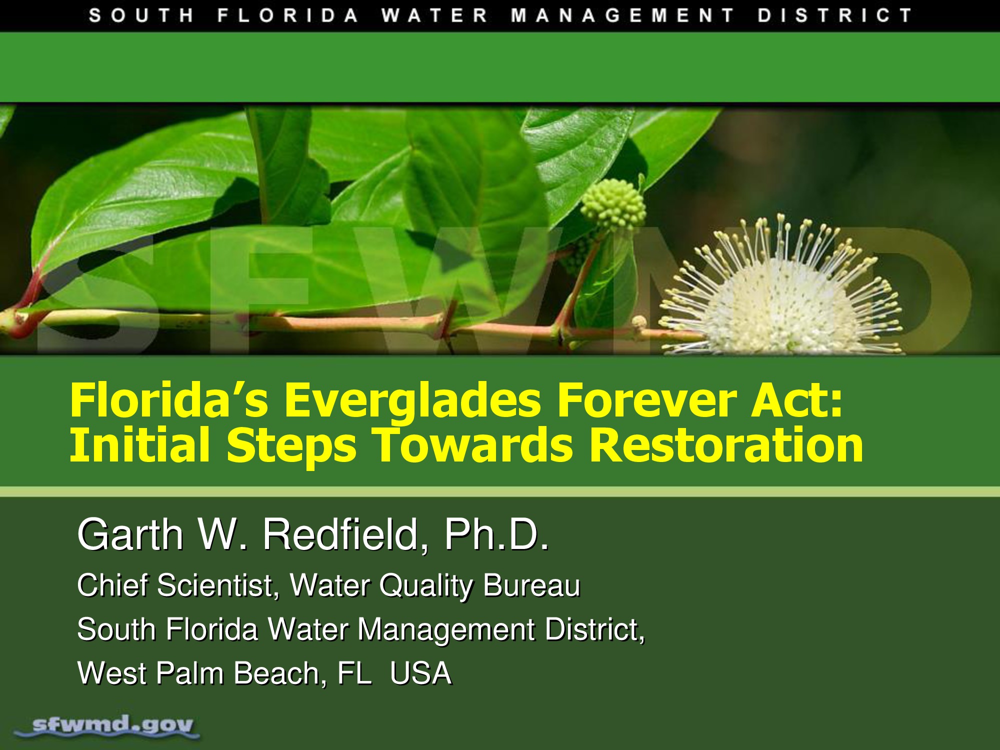 Lecture 2.2 Everglades Forever Act, Water Quality & STA's
