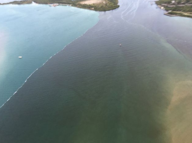 Lake Okeechobee Polluted Since 1985