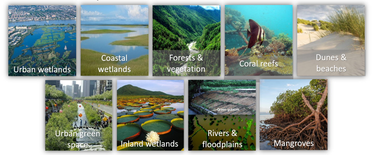 Nature-based Solutions: a Cost-effective Approach for Disaster Risk and Water Resource Management