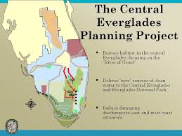 Rising Seas May Swamp Everglades Restoration Plan