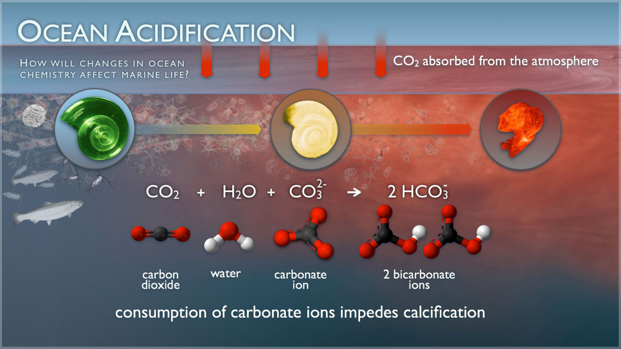 NEWS NOTES ON SUSTAINABLE WATER RESOURCESOcean Acidificationhttps://www.noaa.gov/education/resource-collections/ocean-coasts/ocean-acidification...