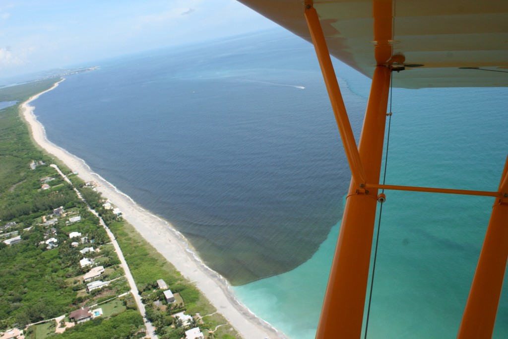 Polluted Lake Water Is Making It's Way Toward Florida Beaches