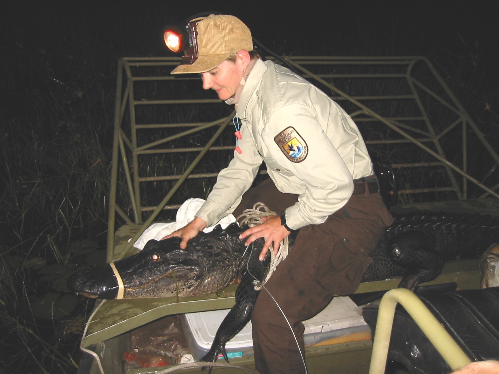 Laua Brandt, U.S. Fish and Wildlife Service - Wildlife Biologist