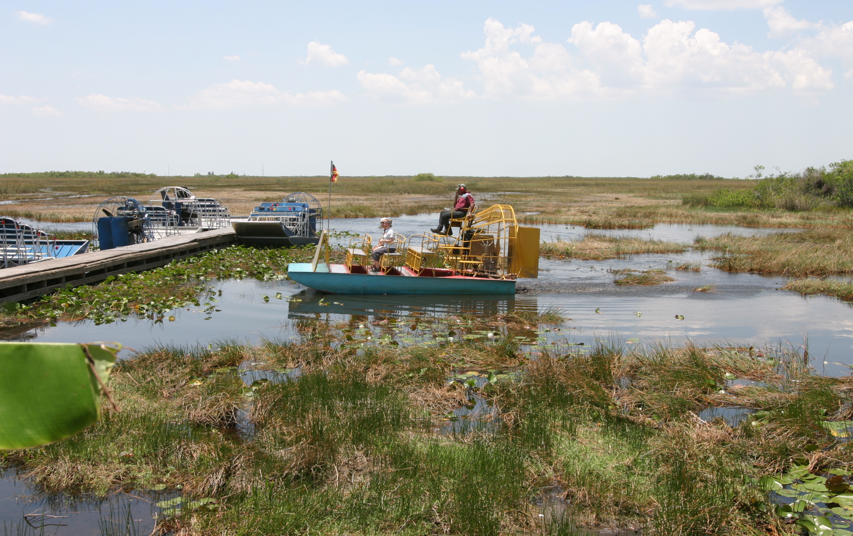 Lawmakers Want up to $200 Mil Annually for 20 Years to Clean Everglades - Florida Water Daily