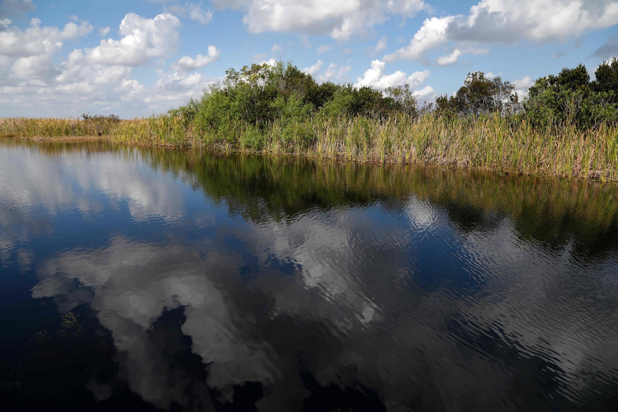 Everglades Leaders Straying From Saving the River of Grass