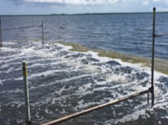 Canals Clean Up, Next Water Quality Project For Florida Keys