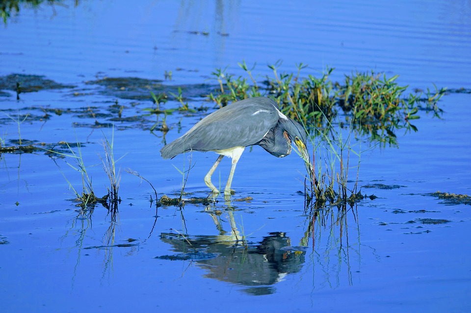 What Will Florida (And its Water Supply) Look Like in 2070?