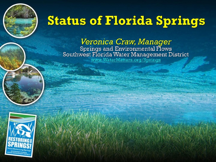 Springs Presentation by Veronica Craw