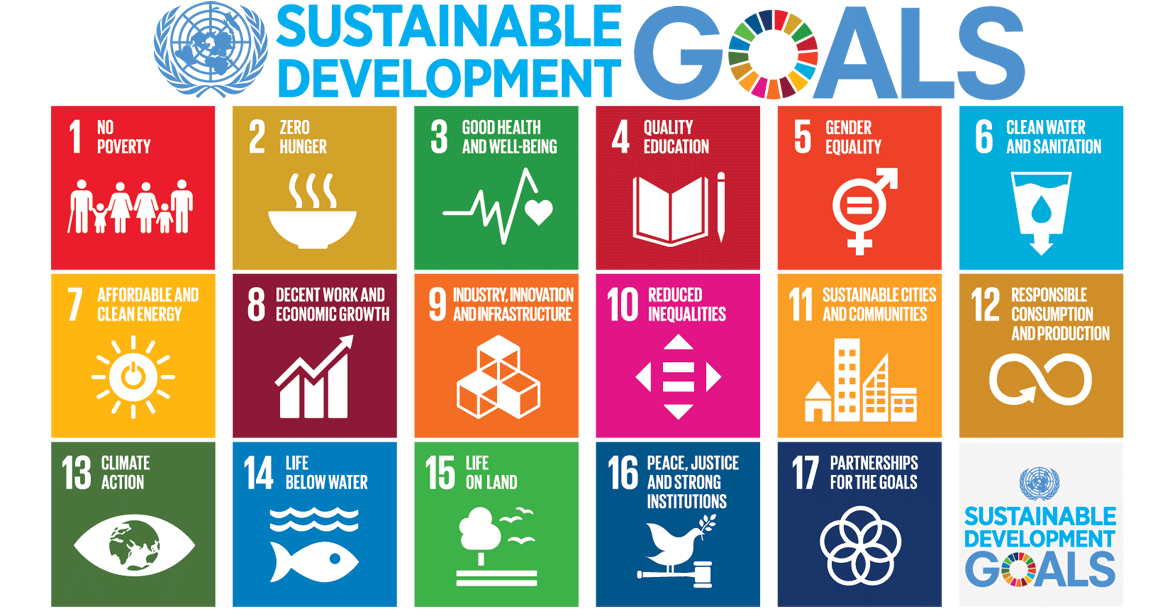 Common Sources of Data Not Sufficient for Measuring UN Sustainable Development Goals, Study Shows