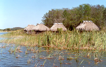 Seminole's Petition Against New Water Toxin Rule Dismissed