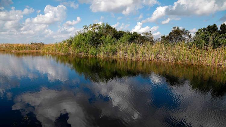 Everglades Leaders Straying From Saving the River of Grass