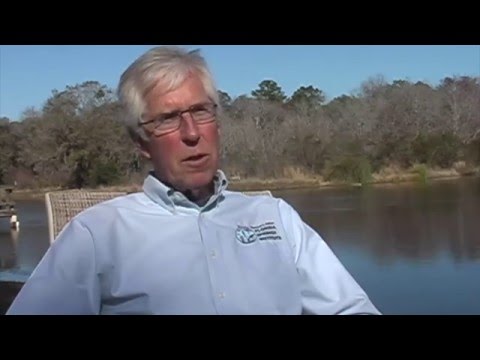 Florida Springs Institute Opens New Environmental Center