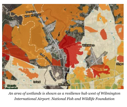 Tool Shows Best Sites For Resilience Projects | Coastal Review Online