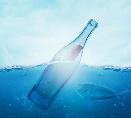 Water Quality Experts Urge Gov. to Finish the Job on Florida Water